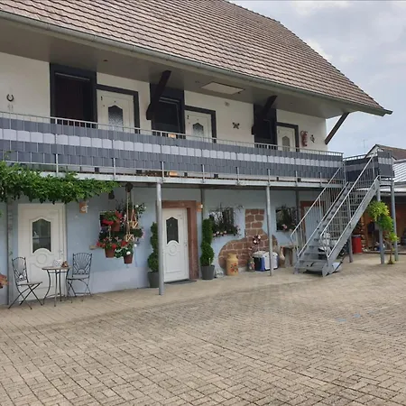 11 - Nur 10 Minuten Zu Fuss In Den Europa-park Appartement